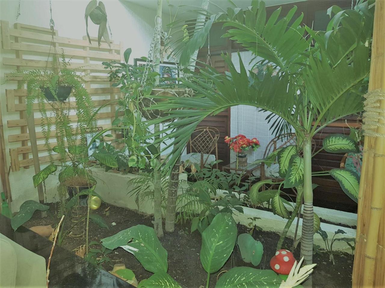 Pousada Terra Garrida Maceió Extérieur photo
